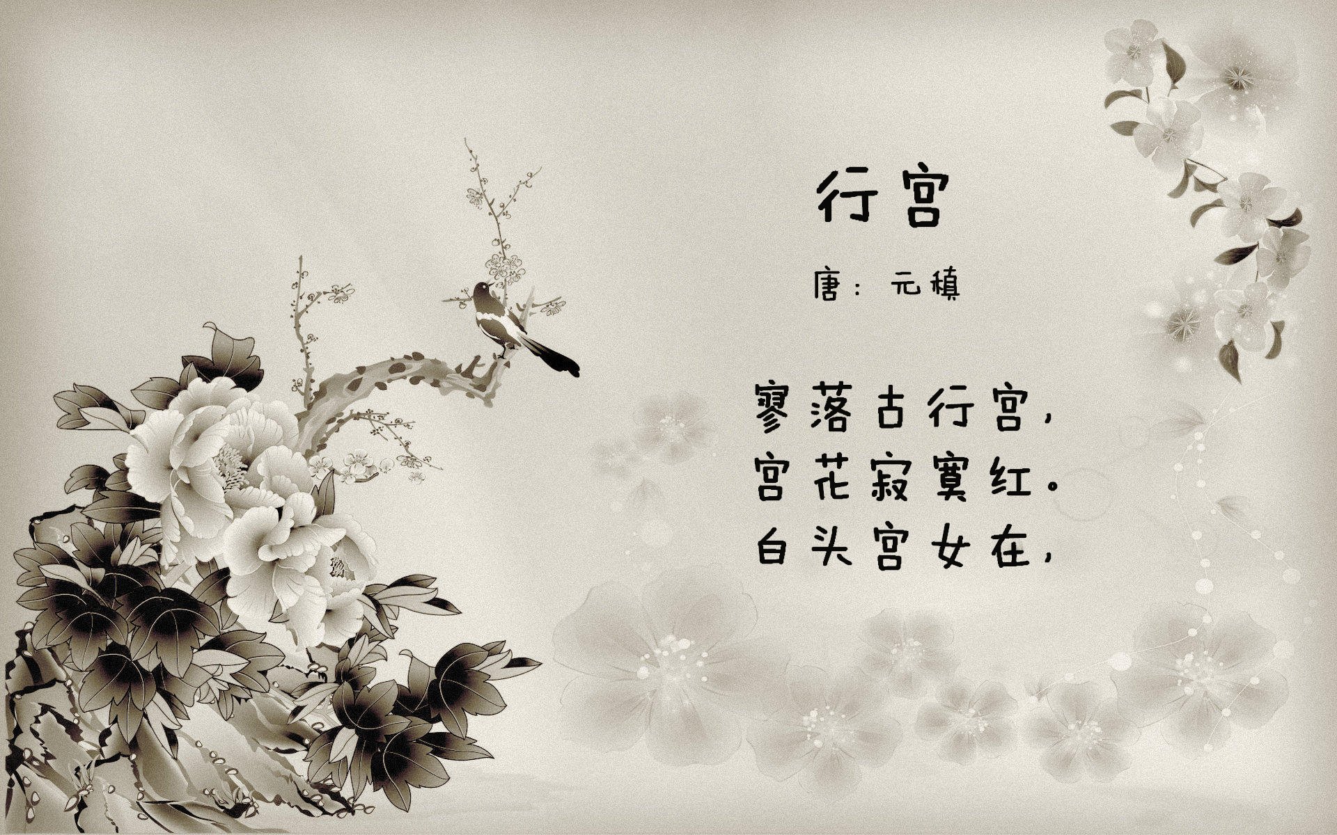 世界举重联赛：恢复监测助力运动员长期发展，举重世界比赛